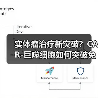 实体瘤治疗新突破？CAR-巨噬细胞如何突破免疫治疗瓶颈？(图3)