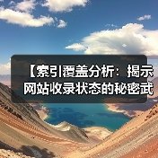 【索引覆盖分析：揭示网站收录状态的秘密武器】(图2)