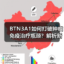 BTN3A1如何打破肿瘤免疫治疗瓶颈?解析新靶点与突破机制(图2) BTN3A1如何打破肿瘤免疫治疗瓶颈?解析新靶点与突破机制(图2)