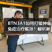 BTN3A1如何打破肿瘤免疫治疗瓶颈?解析新靶点与突破机制(图3) BTN3A1如何打破肿瘤免疫治疗瓶颈?解析新靶点与突破机制(图3)