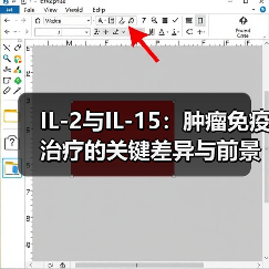 IL-2与IL-15:肿瘤免疫治疗的关键差异与前景(图4) IL-2与IL-15:肿瘤免疫治疗的关键差异与前景(图4)