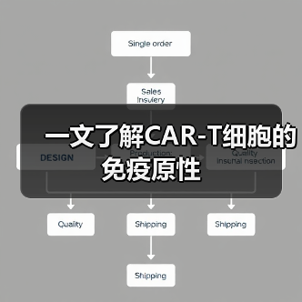 一文了解CAR-T细胞的免疫原性(图1)