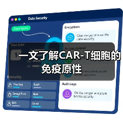 一文了解CAR-T细胞的免疫原性(图3)