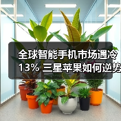 全球智能手机市场遇冷13% 三星苹果如何逆势突围?(图2) 全球智能手机市场遇冷13% 三星苹果如何逆势突围?(图2)