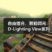 自由组合，智能调光：D-Lighting Vine系列开启光影设计新维度(图3)