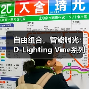 自由组合，智能调光：D-Lighting Vine系列开启光影设计新维度(图2)