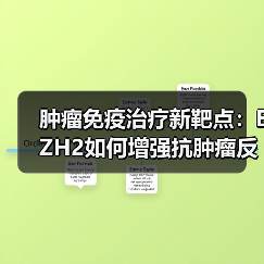 肿瘤免疫治疗新靶点：EZH2如何增强抗肿瘤反应？(图2)