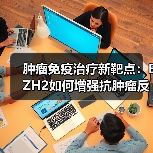 肿瘤免疫治疗新靶点：EZH2如何增强抗肿瘤反应？(图1)