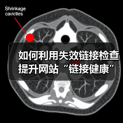 如何利用失效链接检查提升网站“链接健康”与用户引导效果(图2) 如何利用失效链接检查提升网站“链接健康”与用户引导效果(图2)