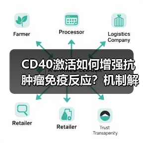 CD40激活如何增强抗肿瘤免疫反应?机制解析(图2) CD40激活如何增强抗肿瘤免疫反应?机制解析(图2)