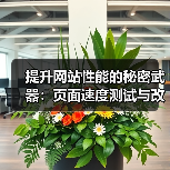提升网站性能的秘密武器:页面速度测试与改进指南(图2) 提升网站性能的秘密武器:页面速度测试与改进指南(图2)