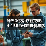 肿瘤免疫治疗新突破:4-1BB的作用机制与抗肿瘤潜力(图4) 肿瘤免疫治疗新突破:4-1BB的作用机制与抗肿瘤潜力(图4)