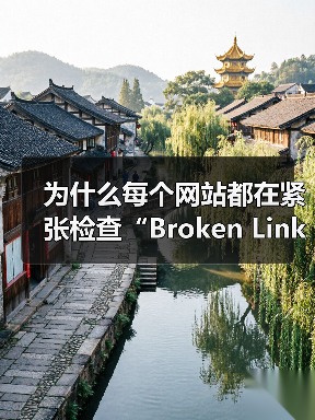为什么每个网站都在紧张检查“Broken Link Checking 失效链接检查”？事实上，失效链接已经由潜在的隐形坑变成了站点用户体验和SEO的死穴！即使你(图3)