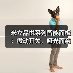 米立品悦系列智能面板：微动开关，哑光面亲肤涂层(图3)