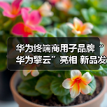 华为终端商用子品牌“华为擎云”亮相 新品发布重新定义智慧商用轻薄本(图1) 华为终端商用子品牌“华为擎云”亮相 新品发布重新定义智慧商用轻薄本(图1)