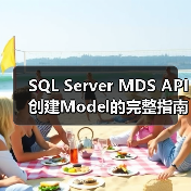 SQL Server MDS API创建Model的完整指南(图4) SQL Server MDS API创建Model的完整指南(图4)