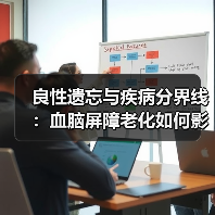 良性遗忘与疾病分界线:血脑屏障老化如何影响记忆?(图3) 良性遗忘与疾病分界线:血脑屏障老化如何影响记忆?(图3)
