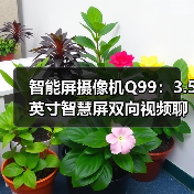 智能屏摄像机Q99:3.5英寸智慧屏双向视频聊天远程看家全场景守护(图3) 智能屏摄像机Q99:3.5英寸智慧屏双向视频聊天远程看家全场景守护(图3)