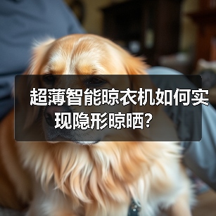 超薄智能晾衣机如何实现隐形晾晒？(图3)