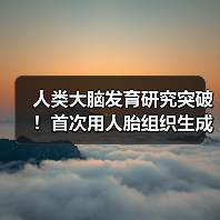 人类大脑发育研究突破！首次用人胎组织生成类器官(图3)