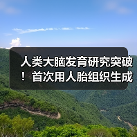 人类大脑发育研究突破！首次用人胎组织生成类器官(图2)