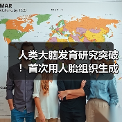 人类大脑发育研究突破！首次用人胎组织生成类器官(图4)