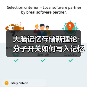 大脑记忆存储新理论:分子开关如何写入记忆密码(图4) 大脑记忆存储新理论:分子开关如何写入记忆密码(图4)