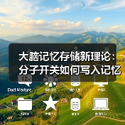 大脑记忆存储新理论：分子开关如何写入记忆